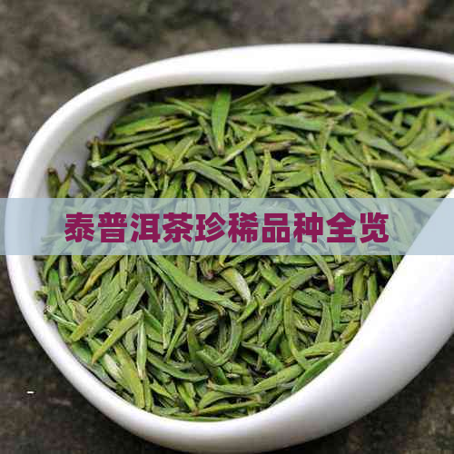 泰普洱茶珍稀品种全览