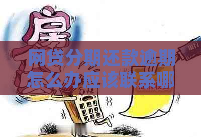 网贷分期还款逾期怎么办应该联系哪些部门