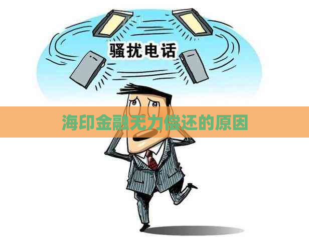 海印金融无力偿还的原因