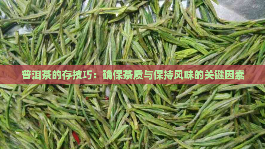 普洱茶的存技巧：确保茶质与保持风味的关键因素