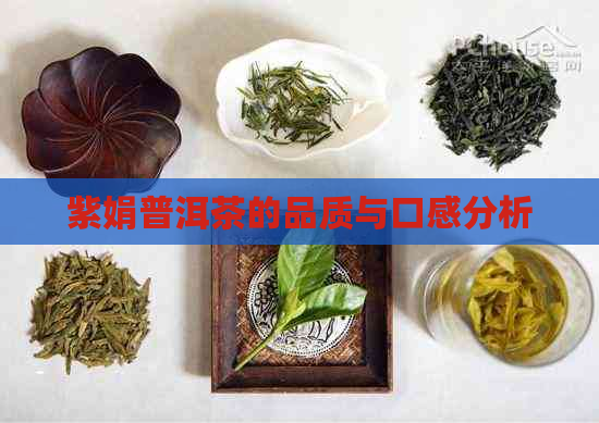 紫娟普洱茶的品质与口感分析