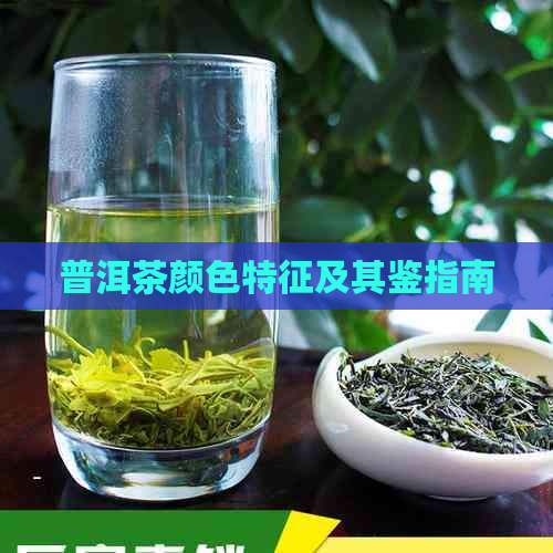 普洱茶颜色特征及其鉴指南