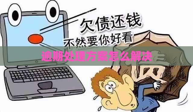 逾期处理方案怎么解决