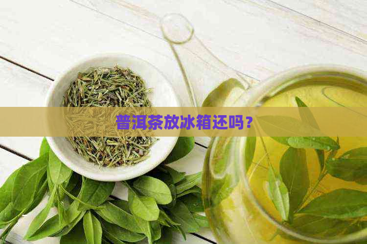 普洱茶放冰箱还吗？