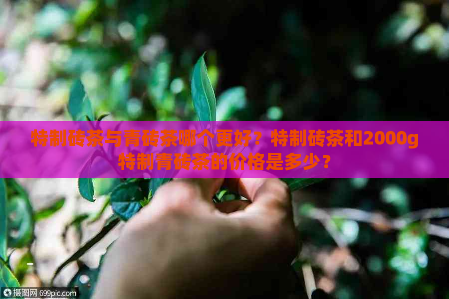 特制砖茶与青砖茶哪个更好？特制砖茶和2000g特制青砖茶的价格是多少？