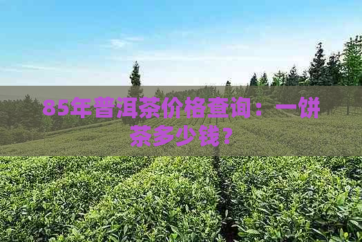 85年普洱茶价格查询：一饼茶多少钱？