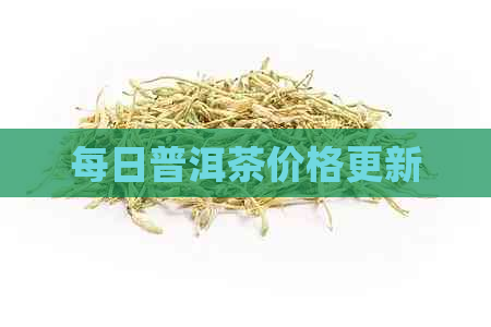 每日普洱茶价格更新