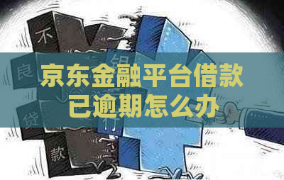 京东金融平台借款已逾期怎么办