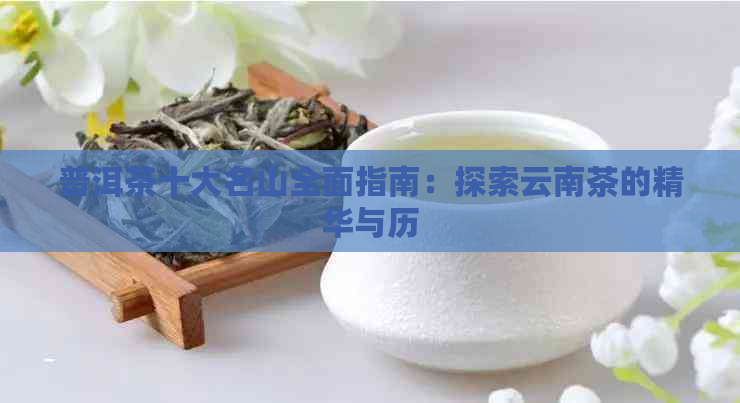 普洱茶十大名山全面指南：探索云南茶的精华与历