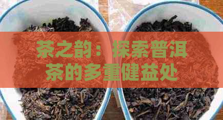 茶之韵：探索普洱茶的多重健益处