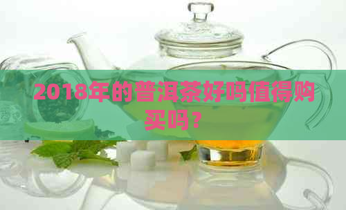 2018年的普洱茶好吗值得购买吗？