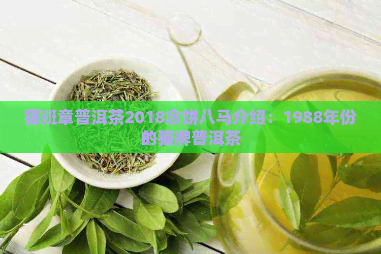 猫班章普洱茶2018念饼八马介绍：1988年份的猫牌普洱茶