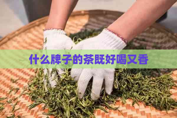 什么牌子的茶既好喝又香