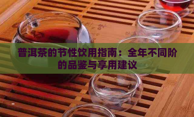 普洱茶的节性饮用指南：全年不同阶的品鉴与享用建议