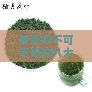 茶艺中不可不知的八大禁忌，揭秘品茗的奥秘