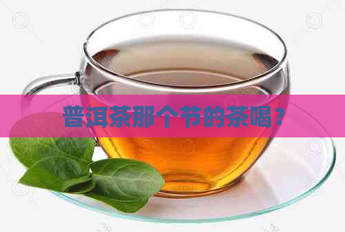 普洱茶那个节的茶喝？