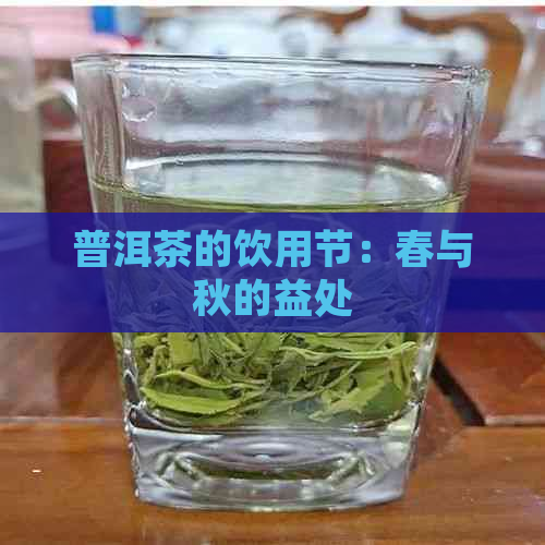 普洱茶的饮用节：春与秋的益处