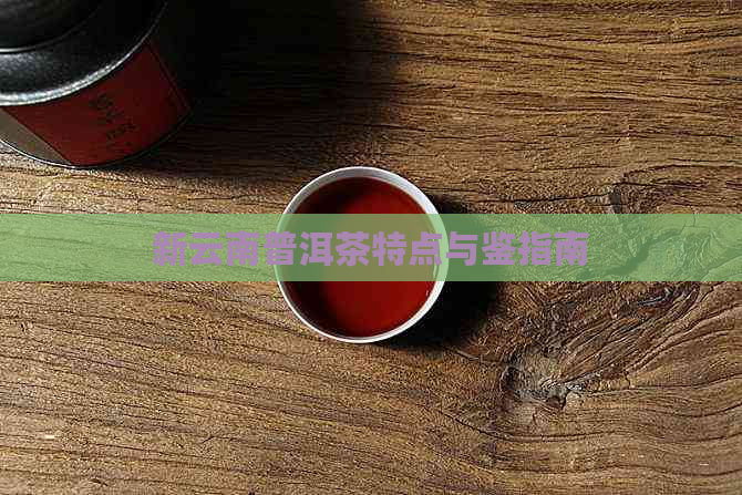 新云南普洱茶特点与鉴指南