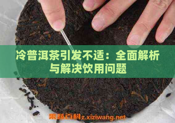 冷普洱茶引发不适：全面解析与解决饮用问题