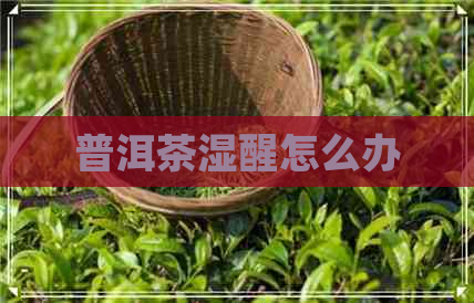 普洱茶湿醒怎么办