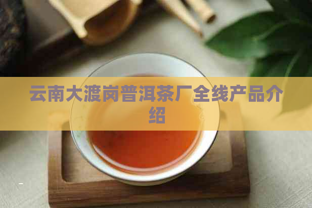 云南大渡岗普洱茶厂全线产品介绍