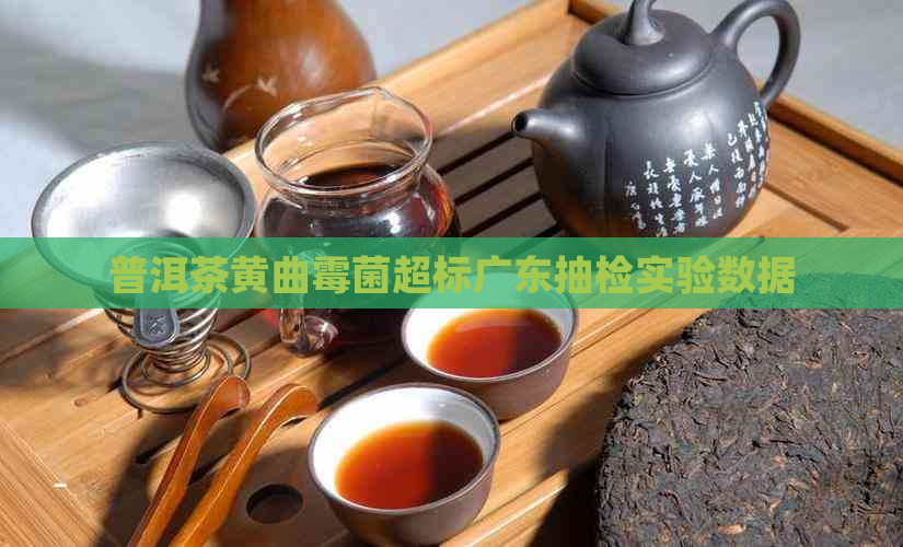 普洱茶黄曲霉菌超标广东抽检实验数据