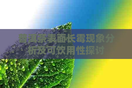 普洱茶表面长霉现象分析及可饮用性探讨