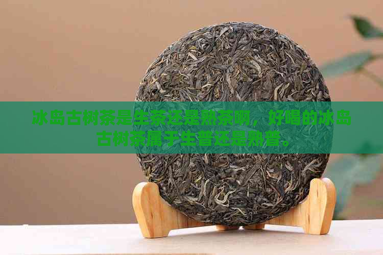 冰岛古树茶是生茶还是熟茶啊，好喝的冰岛古树茶属于生普还是熟普。