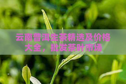 云南普洱生茶精选及价格大全，批发茶叶市场