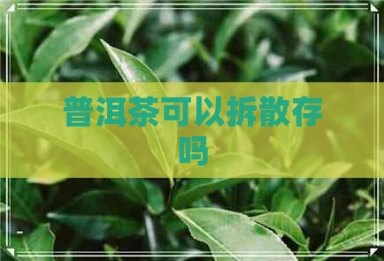 普洱茶可以拆散存吗