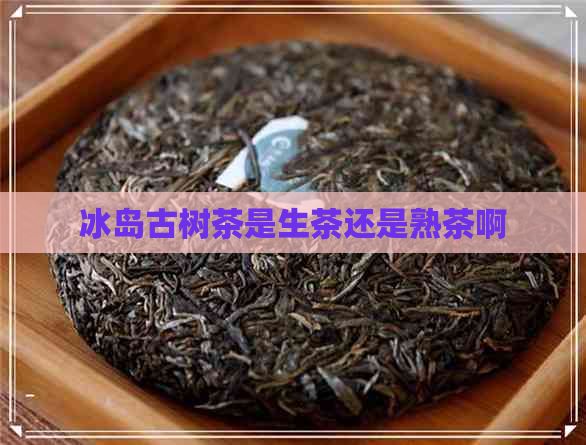 冰岛古树茶是生茶还是熟茶啊