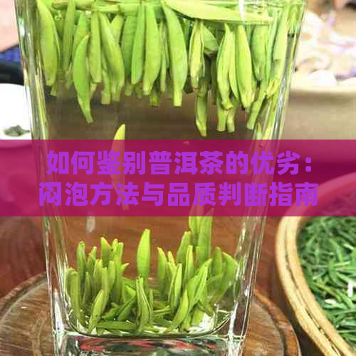 如何鉴别普洱茶的优劣：闷泡方法与品质判断指南