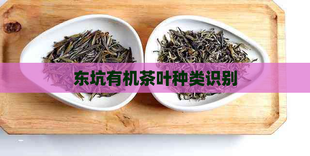 东坑有机茶叶种类识别