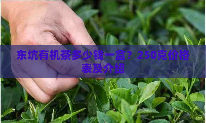 东坑有机茶多少钱一盒？250克价格表及介绍