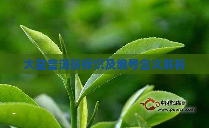 大益普洱茶标识及编号含义解析