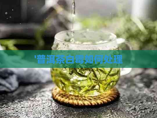 '普洱茶白霉如何处理