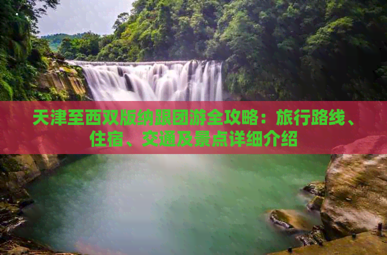 天津至西双版纳跟团游全攻略：旅行路线、住宿、交通及景点详细介绍