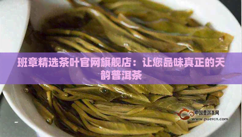 班章精选茶叶官网旗舰店：让您品味真正的天韵普洱茶