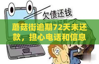 蘑菇街逾期72天未还款，担心电话和信息影响信用？怎么办？