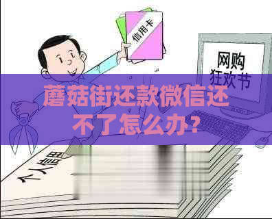 蘑菇街还款微信还不了怎么办？