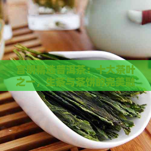 宫明精选普洱茶：十大茶叶之一，生茶与茶饼的完美融合