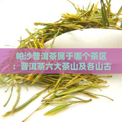 帕沙普洱茶属于哪个茶区：普洱茶六大茶山及各山古树茶特点介绍