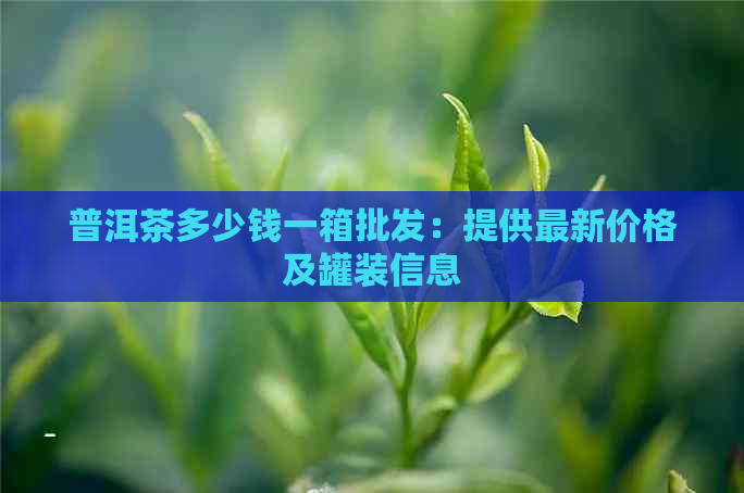 普洱茶多少钱一箱批发：提供最新价格及罐装信息