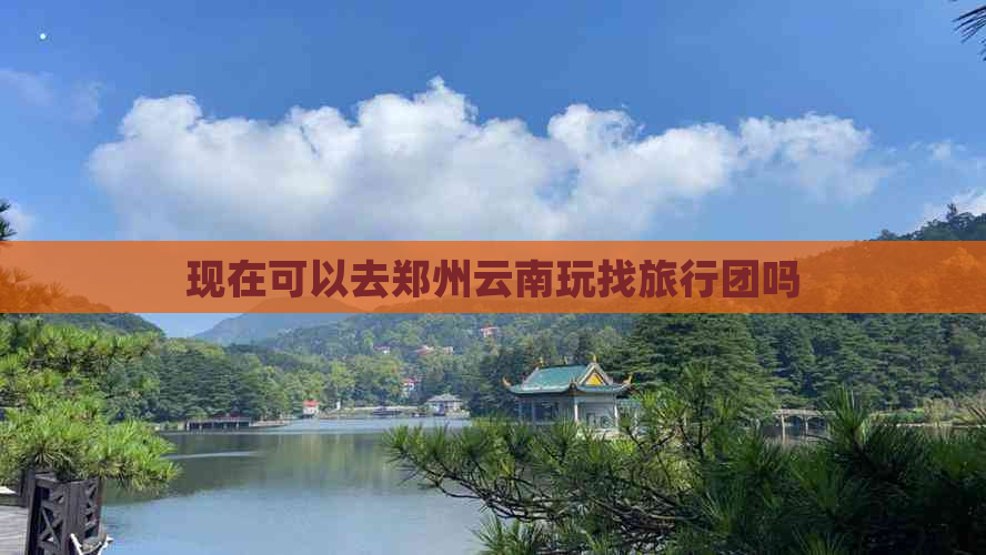 现在可以去郑州云南玩找旅行团吗