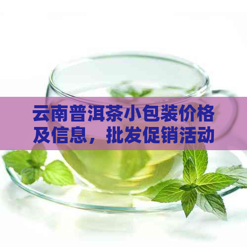 云南普洱茶小包装价格及信息，批发促销活动进行中！