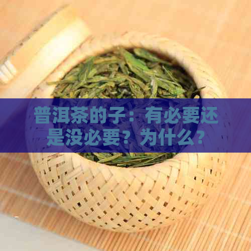 普洱茶的子：有必要还是没必要？为什么？