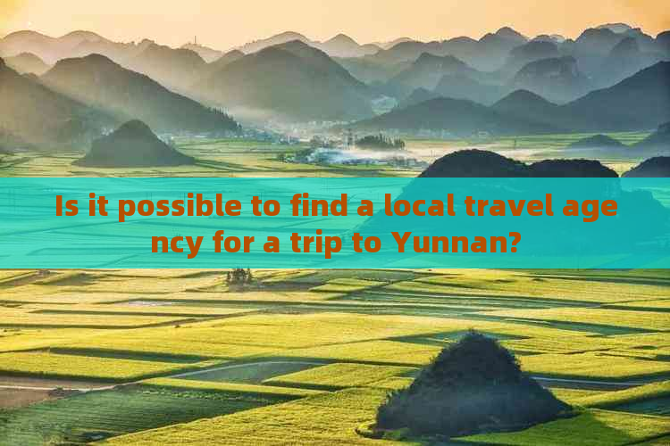 Is it possible to find a local travel agency for a trip to Yunnan?