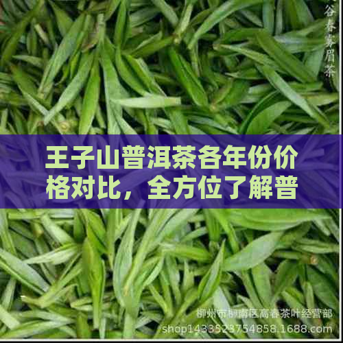 王子山普洱茶各年份价格对比，全方位了解普洱茶市场动态