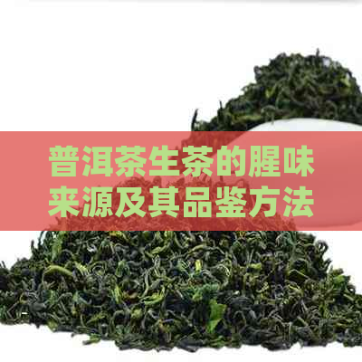 普洱茶生茶的腥味来源及其品鉴方法解析