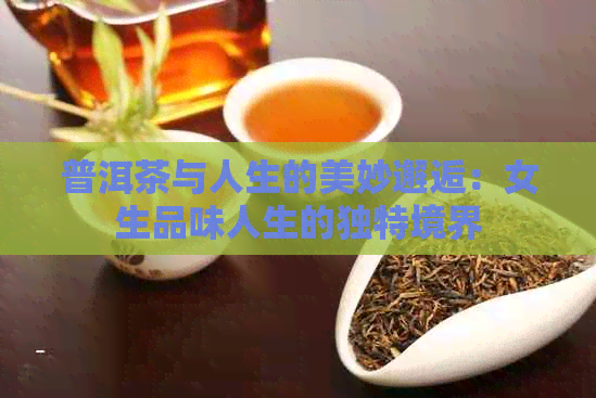 普洱茶与人生的美妙邂逅：女生品味人生的独特境界